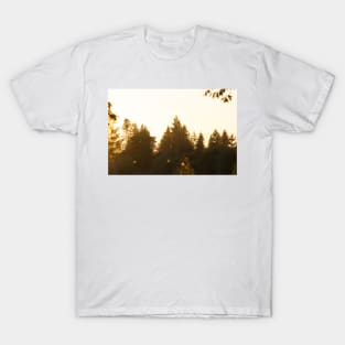 Twilight in Forks T-Shirt